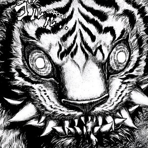 BALI by Keith Yayo, Adams