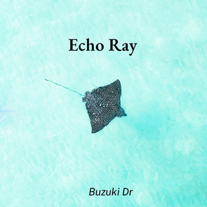 Echo Ray by Buzuki Dr