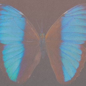 Hiko - Wings (Sped Up) - They Made Me Think of You, Oh Lights Go Down