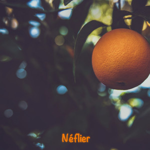 Orange Garden, Rome