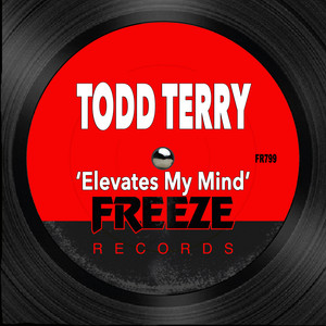 Elevates My Mind by Todd Terry cover art