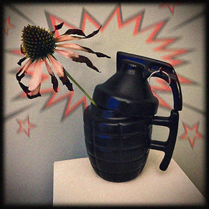 The Pin in My Grenade by Scott Cook