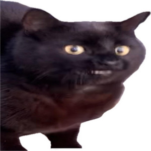 boiarchuk - Happy Birthday Meow Meow Cat