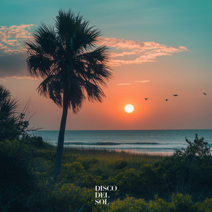 Sunkissed Rhythm by Sunkite