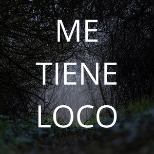 ME TIENE LOCO by LOKASO
