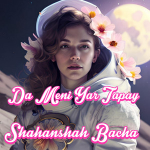 Shahanshah Bacha - Dumra Paida Kegi Khapl Zan Pe Sato