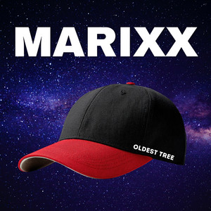 Oldest Tree by MARIXX