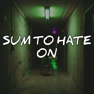 Sum to Hate On by Baby lacos