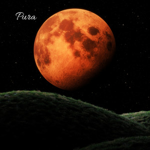 Pura by Ex Nocte