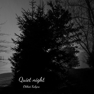 Quiet night