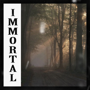 Обкладинка: IMMORTAL