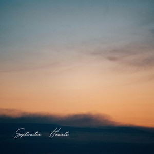 Softwater Hearts by Auguste Braun