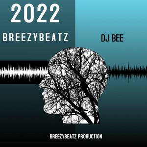 Dj Bee cover