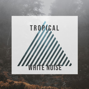 # 1 Album: Tropical White Noise album