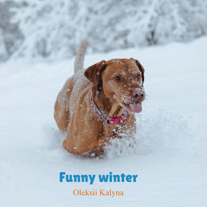 Funny winter