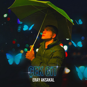 Çek git