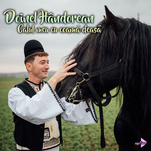 Doinel Hândorean - Calul meu cu coamă deasă
