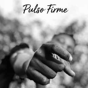 Pulso Firme by FM On The Tracks