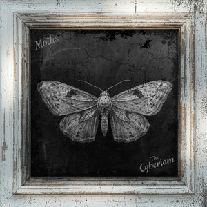 Moths by The Cyberiam
