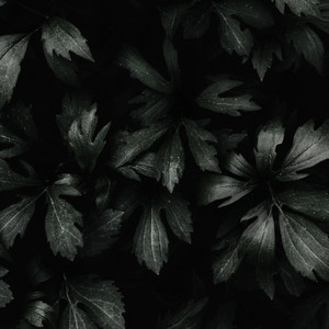 en la oscuridad by Ethereal Keysx