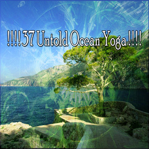 ! ! ! ! 37 Untold Ocean Yoga ! ! ! ! album