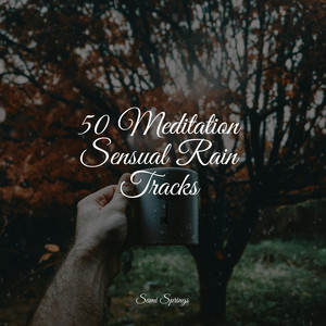 50 Meditation Sensual Rain Tracks album