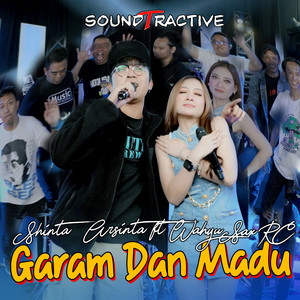 Shinta Arsinta - Garam Dan Madu (feat. Wahyu Sax Rc)