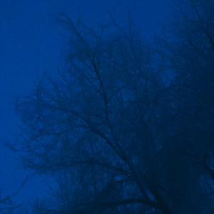 Nuclear Winter, Vol. 2