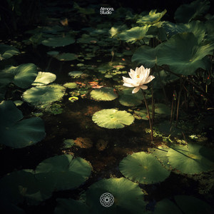 Soul Serenity - 528 Hz by Atmora