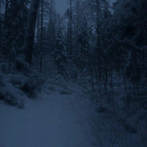 It's snowing by ZED