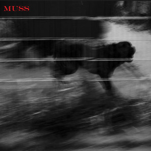Portada de Muss