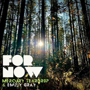 For Now by Mercury Teardrop, Emily Gray