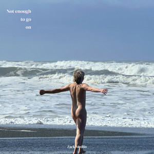 album cover: Not Enough to Go On