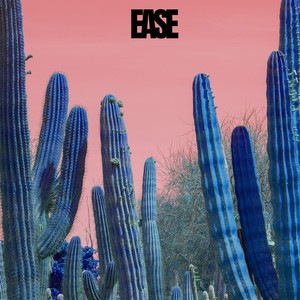 Erase your pictures by David el mejor