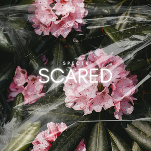 Scared (radio edit) by Spectr