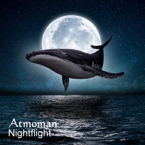 Nightflight by Atmoman