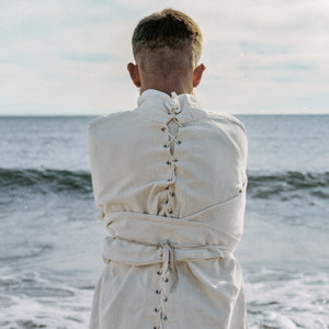 Harry Houdini by Prins Daniel