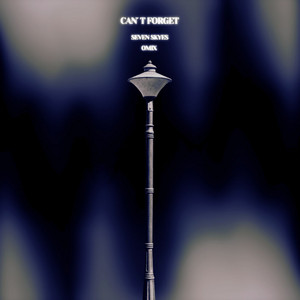 Can't Forget by Seven Skyes, Omix