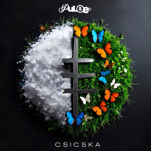 CSICSKA by PULSE.