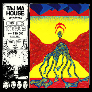 Taj Ma House