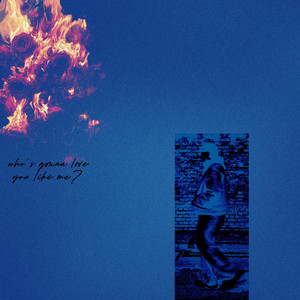 Who's gonna love you like me? by silla