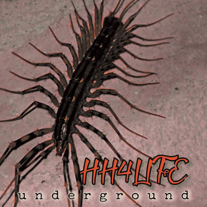 Обкладинка: Underground