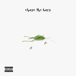 CHASE THE BARS