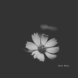 Just This by Aurelian Juno
