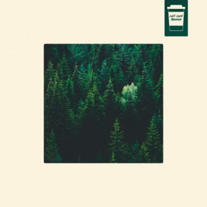 Forest Daydream by Alpharene, Vidalima