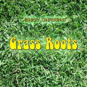 The Grass Roots - Let's Live For Today