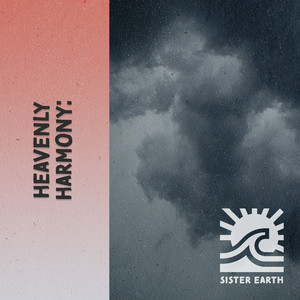 Heavenly Harmony: Rain in the Forest album