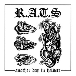 Bullshit Original The AOR Band 洋楽 TOBB