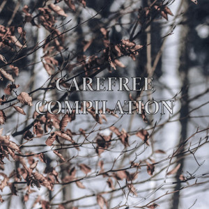 Carefree Compilation album