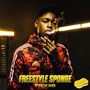 Portada de Freestyle Sponge